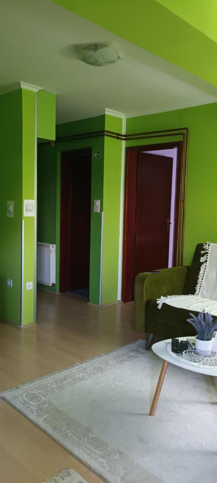 Апартаменти Apartman Gaga Пірот Екстер'єр фото